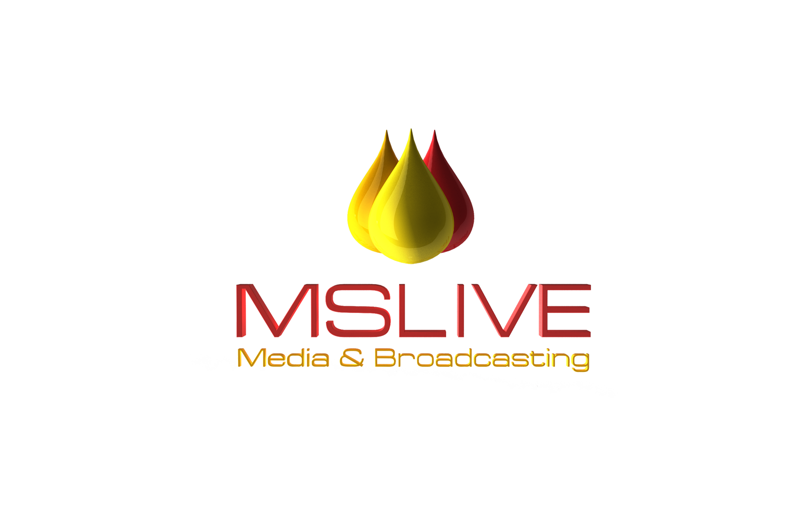 Live Streaming Server provider | Live streaming service provider - MSLIVE